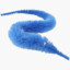 Worm