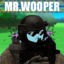 Mr.WOOPER
