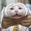 辛逝纪芙音战士