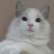 ซ้อออม'♔