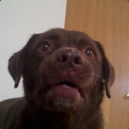 Zagadka - steam id 76561197965282962