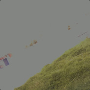 purple_ninja