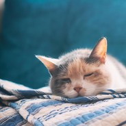 元气满满打游戏！