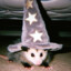 Possum Wizard