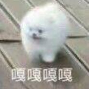 理塘绝兇の猛虎，纯真丁真一郎参上