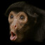 el monkey