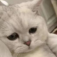 她与星星遥不可及