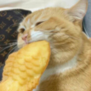 她大喊着友情啊羁绊啊