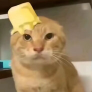 哈基米南北绿豆