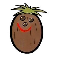 Pan Kokos