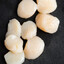 Scallop?
