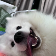 比他妈窦娥还冤