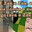 Eu vo lhe usa SKINS
