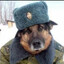 Теsіk