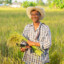 Rice farmer