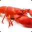 Mr.lobster