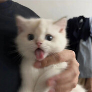 一直到世界尽头