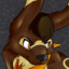Jogi The Coonbit