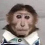 MONKEY avatar
