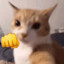 kotoffsky's avatar