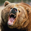 DeAdBeAr