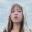 Avatar of Lu Lu