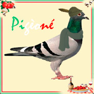 Pigeoné! 🐦