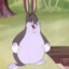 Average big chungus fan