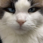 <#CCCC00>深藏<#588397>blue