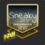 ✪ Sneaky &#039;
