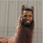 Barack Ollama