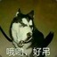 情…詩