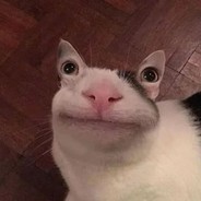 Torin avatar