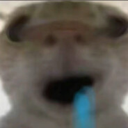 沃尔玛塑料袋喜欢乌桃