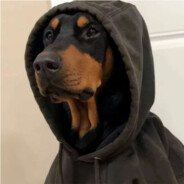 你和胜局皆欢喜