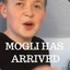 Mogli