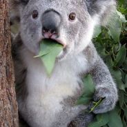 旗鼓相当的对手