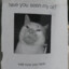 where is my cat
