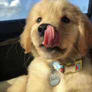 能向你许下永远吗