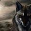 Ary Wolfhound