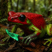 Toxin avatar