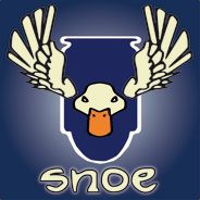 Snoe - steam id 76561197969360208