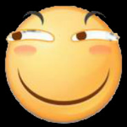 去norway找猪算账