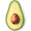 Chilling_Avocado