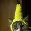 banana hat cat