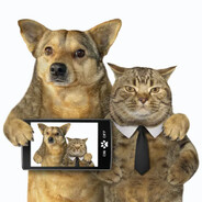 cute puppies and kittens