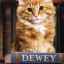 DEWEY, WELLINGTON CAT!