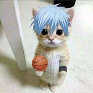 MEOW
