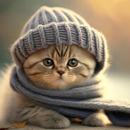 StreetCat