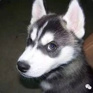 私人号码。杰丶